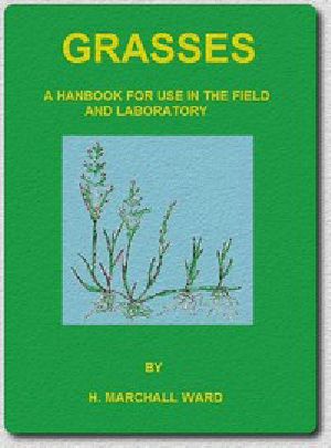 [Gutenberg 47898] • Grasses: A Handbook for use in the Field and Laboratory